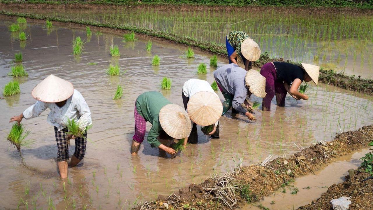 Nha Tan - Mai Chau Homestay And Tours Exteriör bild