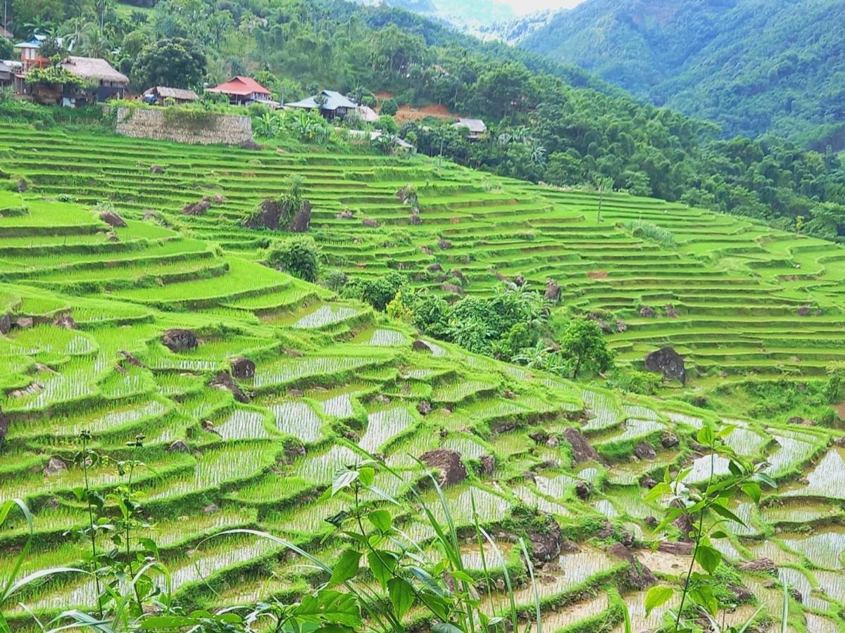Nha Tan - Mai Chau Homestay And Tours Exteriör bild
