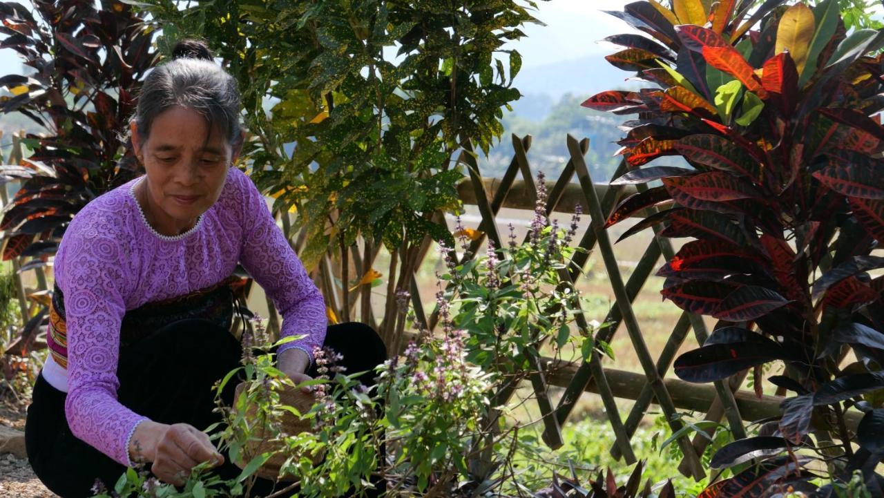 Nha Tan - Mai Chau Homestay And Tours Exteriör bild
