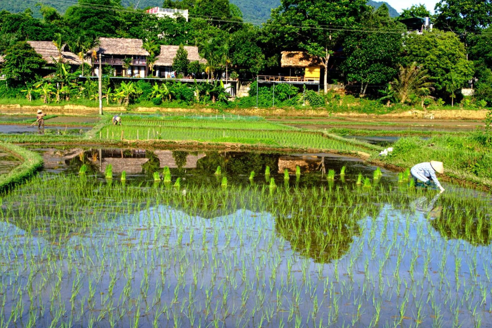 Nha Tan - Mai Chau Homestay And Tours Exteriör bild